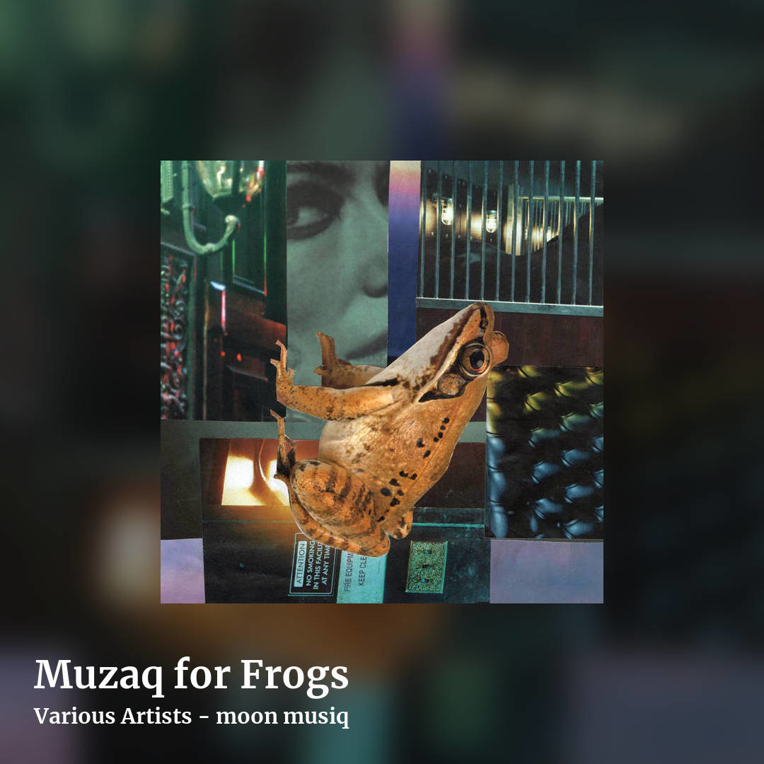 Muzaq for Frogs by Various Artists - moon musiq, square clean share image