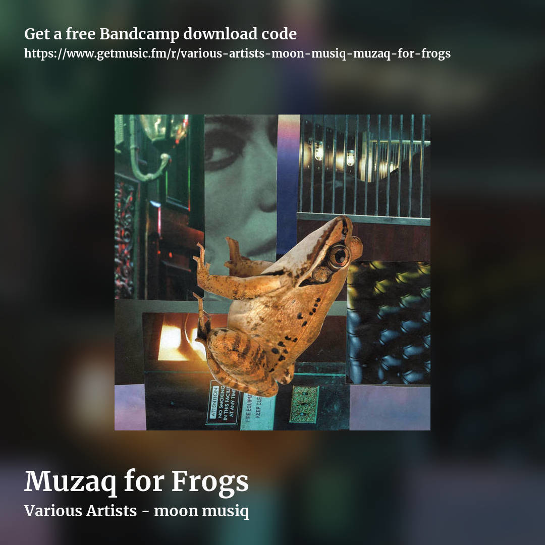 Muzaq for Frogs by Various Artists - moon musiq, square promo share image