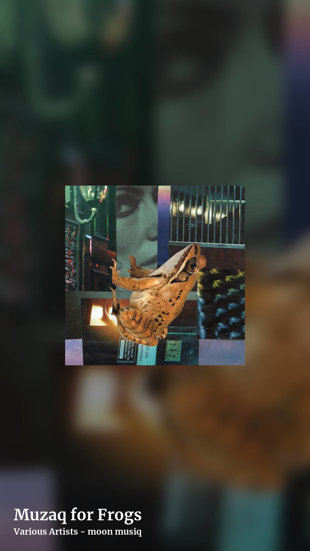 Muzaq for Frogs by Various Artists - moon musiq, story clean share image