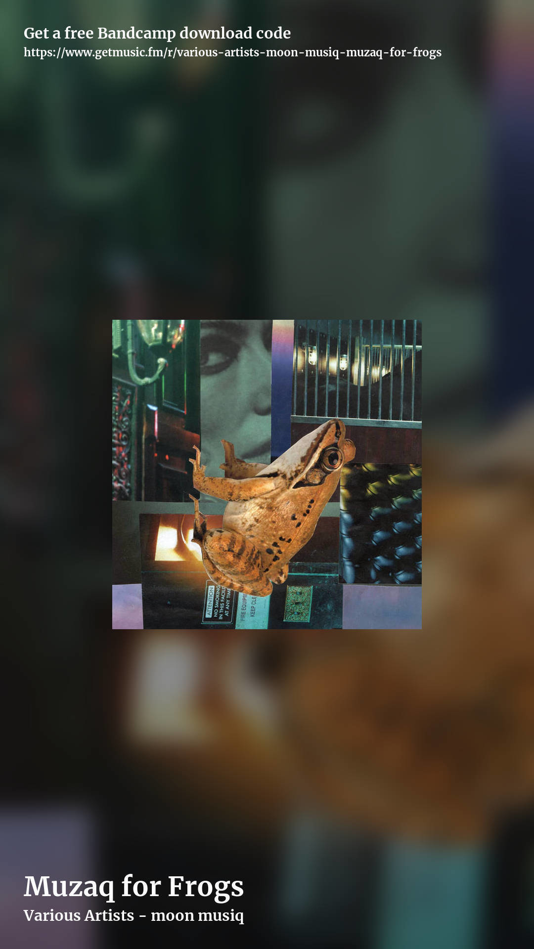 Muzaq for Frogs by Various Artists - moon musiq, story promo share image