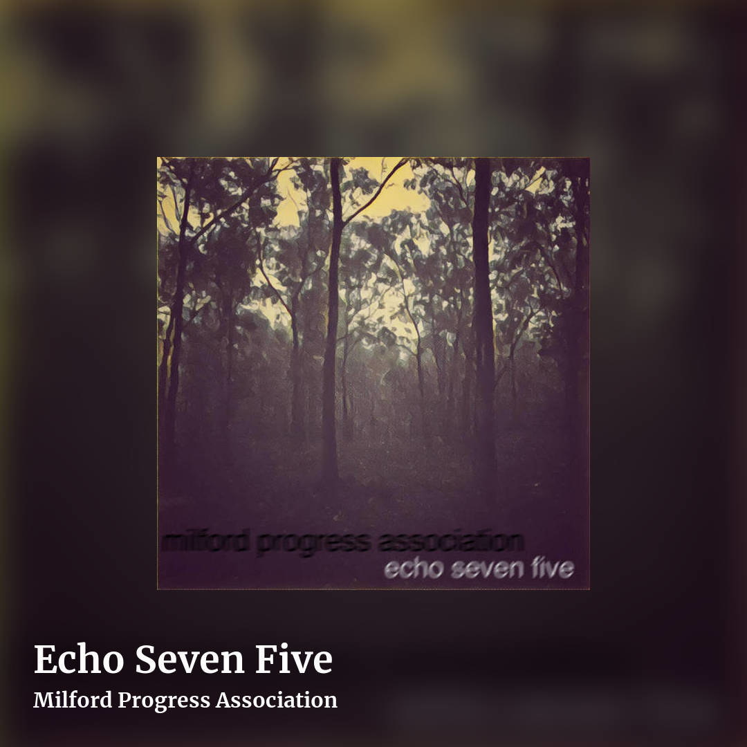 Echo Seven Five by Milford Progress Association, square clean share image