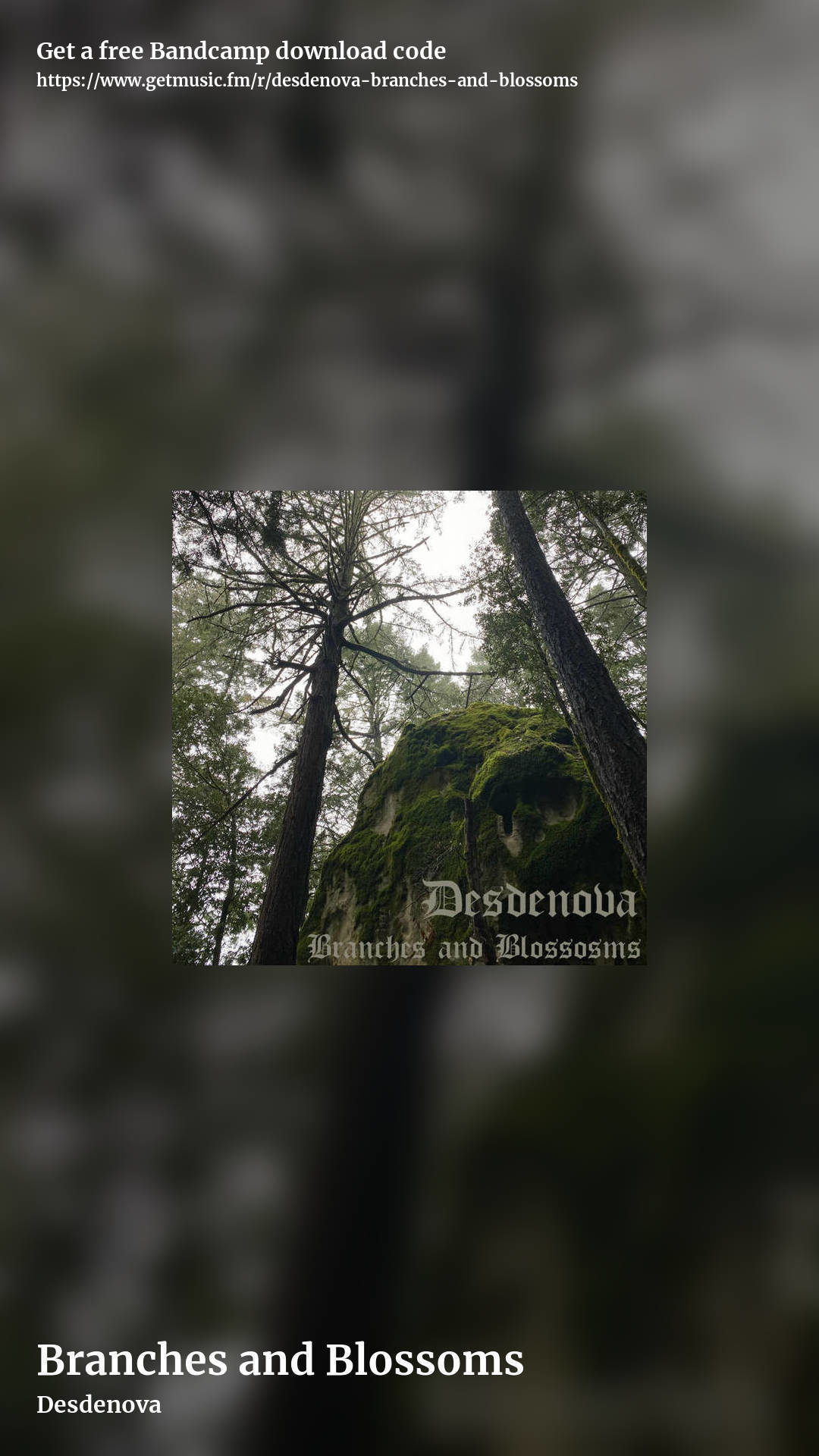 Branches and Blossoms by Desdenova, story promo share image