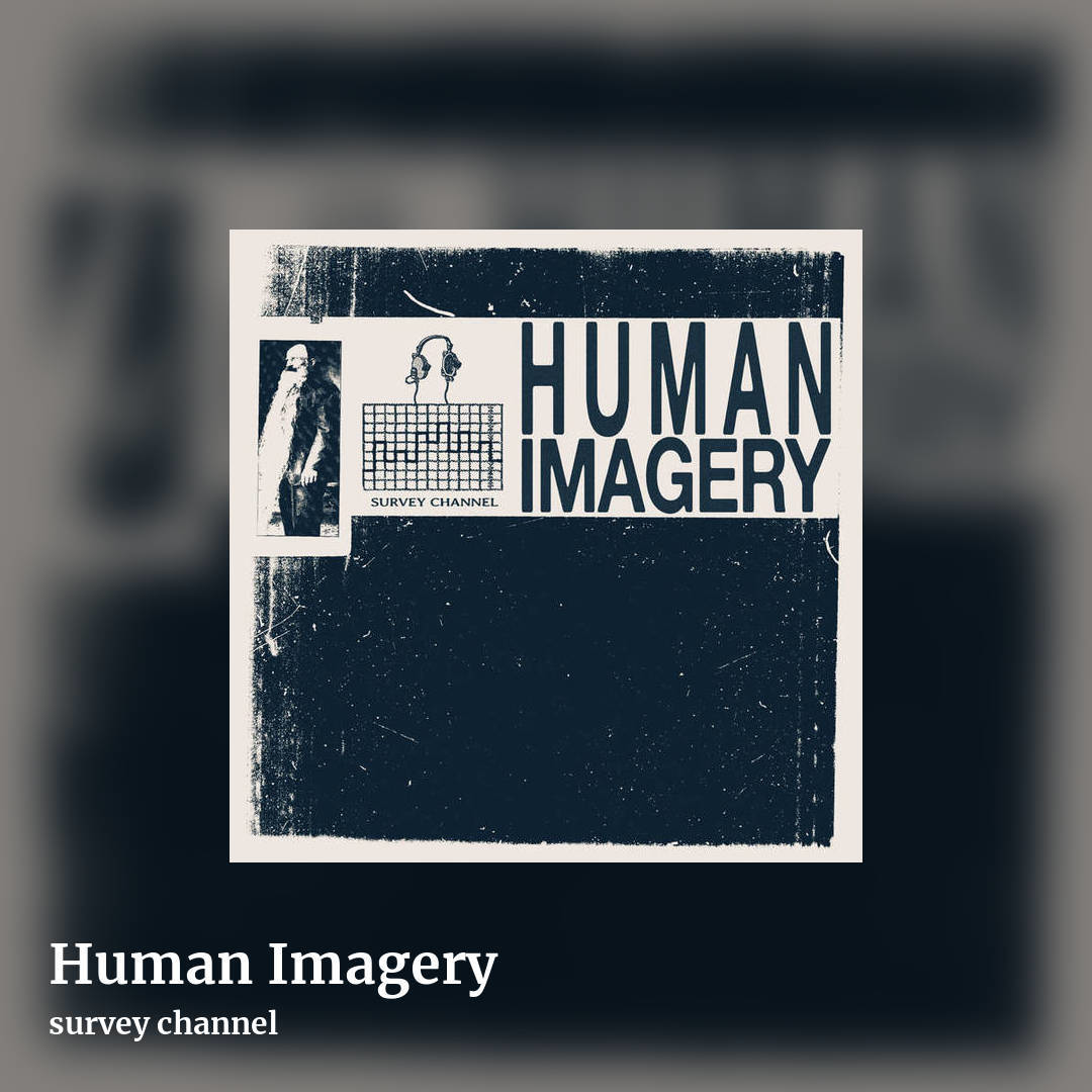 Human Imagery by survey channel, square clean share image
