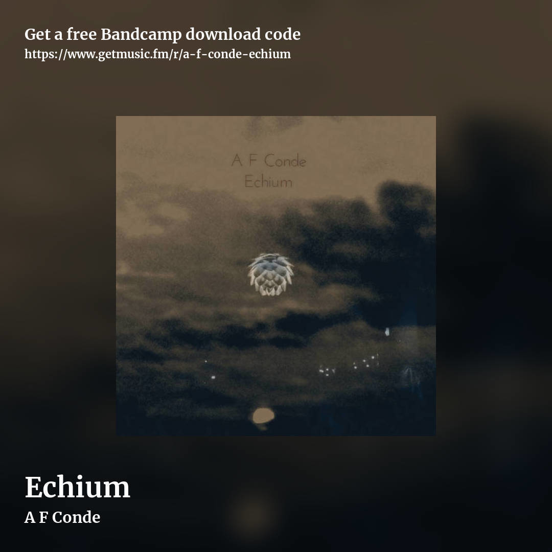 Echium by A F Conde, square promo share image