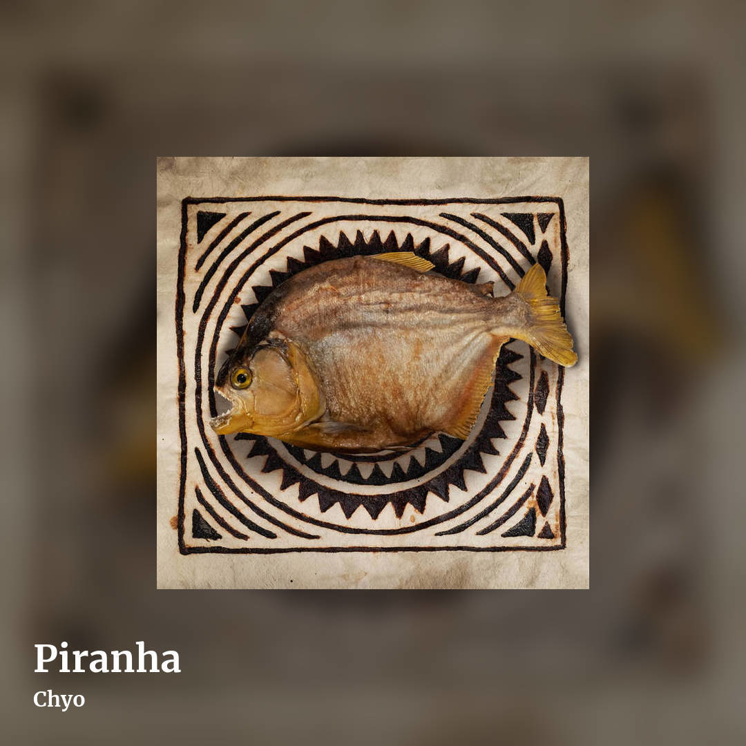 Piranha by Chyo, square clean share image