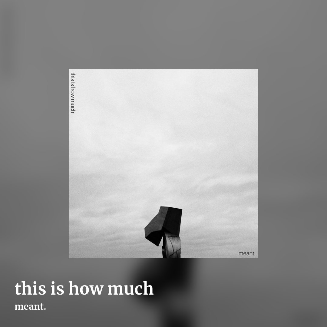 this is how much by meant., square clean share image